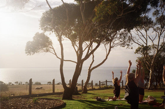 Yoga in the Vines